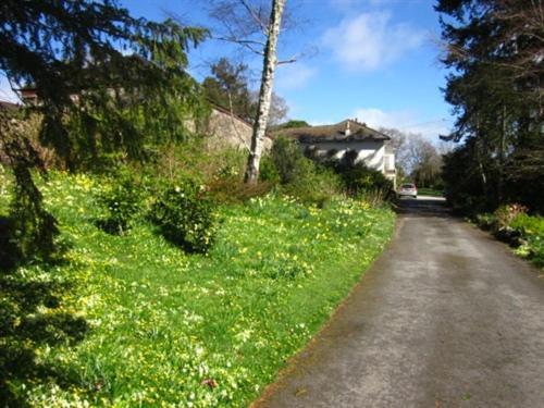 Sandhill House Country House Retreat Gunnislake Kültér fotó